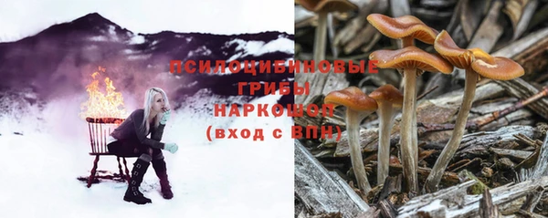бутират Михайлов