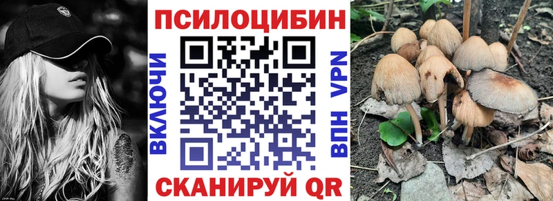 Псилоцибиновые грибы ЛСД Щучье