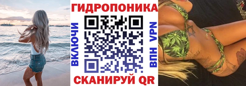 omg зеркало  где купить наркотик  Щучье  Бошки Шишки SATIVA & INDICA 